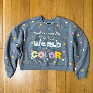 Disney 100 Wonderful World of Color Cropped Sweatshirt Disneyland WDW